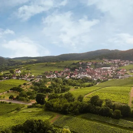 Daire Winzerlodge, Chardonnay Gleiszellen-Gleishorbach