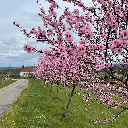 Daire Winzerlodge, Chardonnay