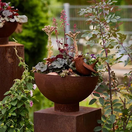 Winzerlodge, Chardonnay Daire *