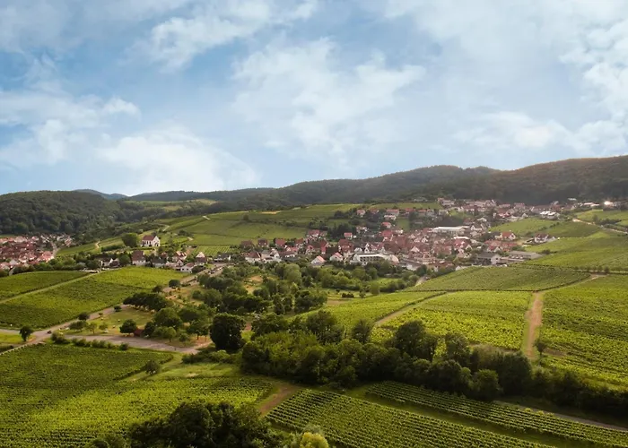 Apartamento Winzerlodge, Chardonnay Gleiszellen-Gleishorbach