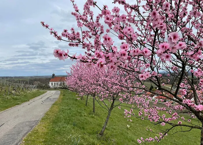 Apartamento Winzerlodge, Chardonnay