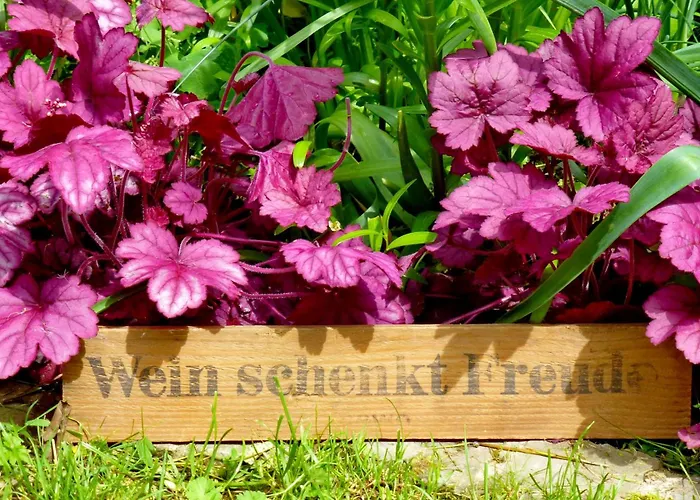 Winzerlodge, Chardonnay Apartamento